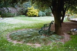 Un banc dans le jardin