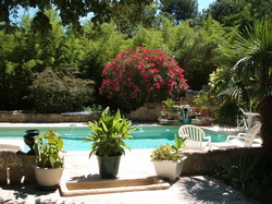 guest, piscine, nimes, Jardin jardin06_small.jpg